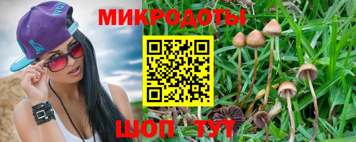 Псилоцибиновые грибы MAGIC MUSHROOMS Абакан