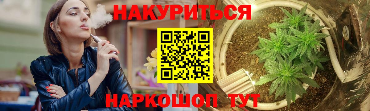 Конопля конопля Абакан